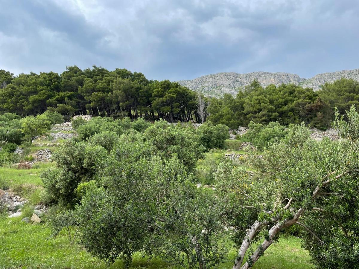 Studio Apartmani Bagaric Duće المظهر الخارجي الصورة